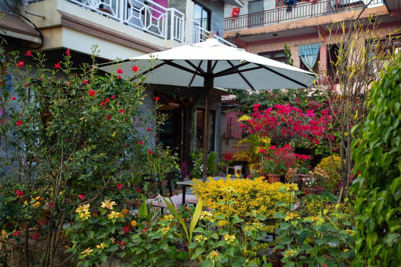 Hotel Orchid Pokhara Exterior foto