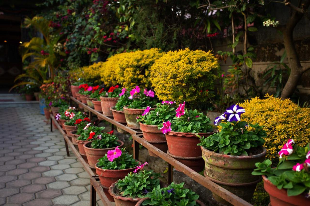 Hotel Orchid Pokhara Exterior foto